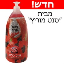 Berry Scent Dishwashing Liquid –  1.25 lt bottle