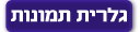 גלרית תמונות
